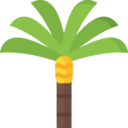 nature,tropical,palm tree,island,oasis,desert,palm ok 